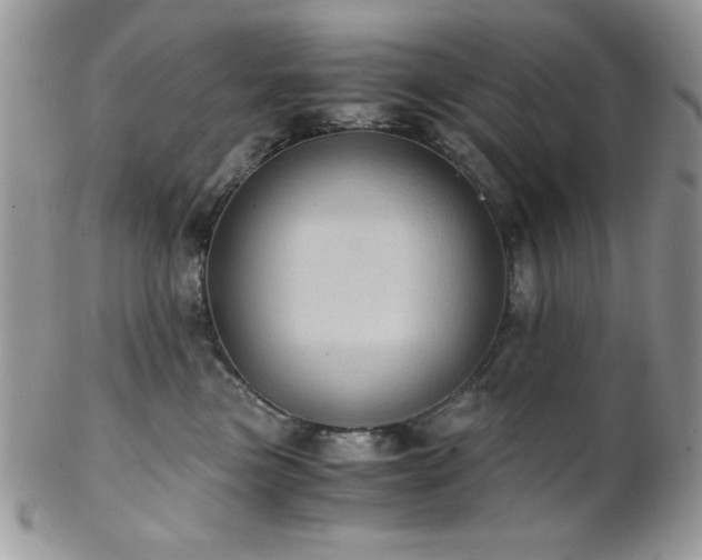 X0000102800473200808181204