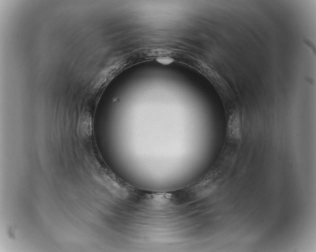 X0000102800474200808181204