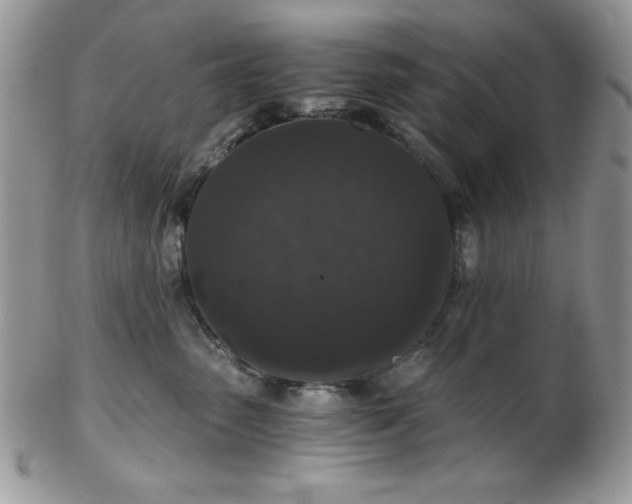 X0000102800475200808181204
