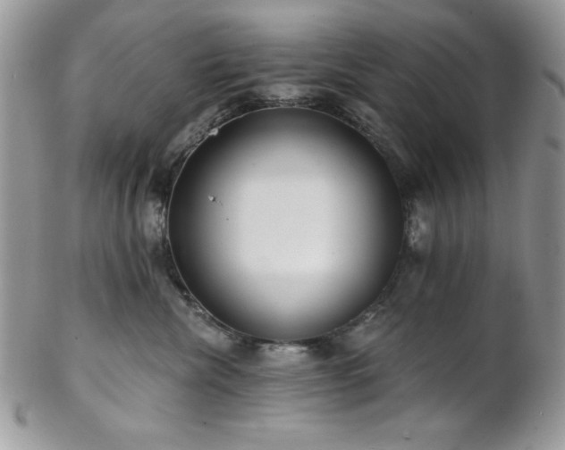 X0000102800476200808181204