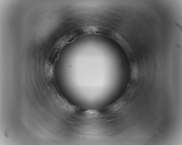 X0000102800477200808181204