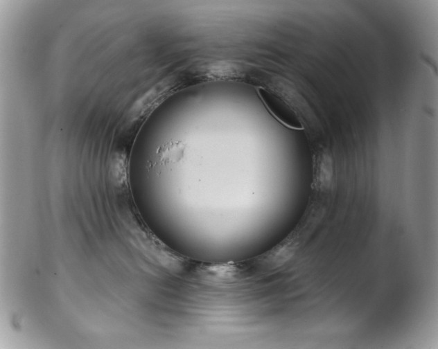 X0000102800478200808181204