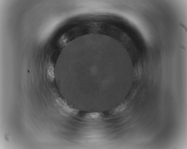 X0000102800479200808181204