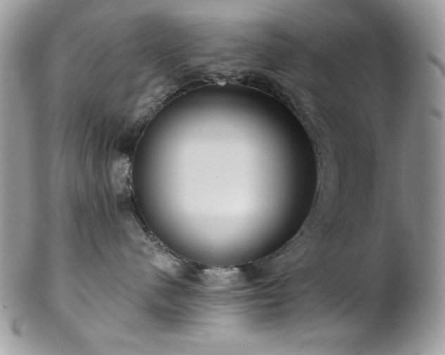 X0000102800480200808181204