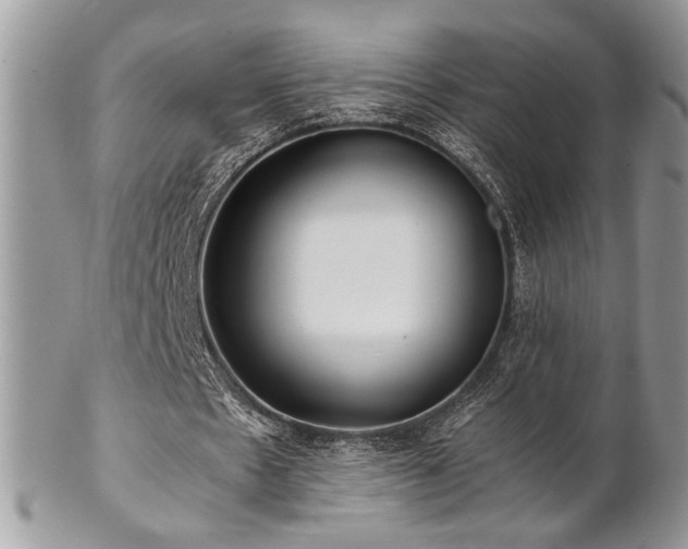 X0000102800481200808181204