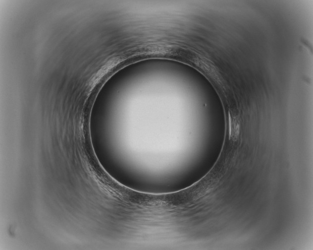 X0000102800483200808181204