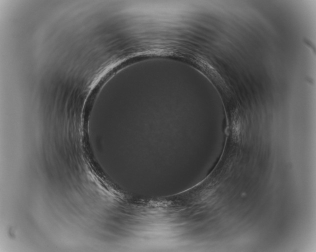 X0000102800484200808181204
