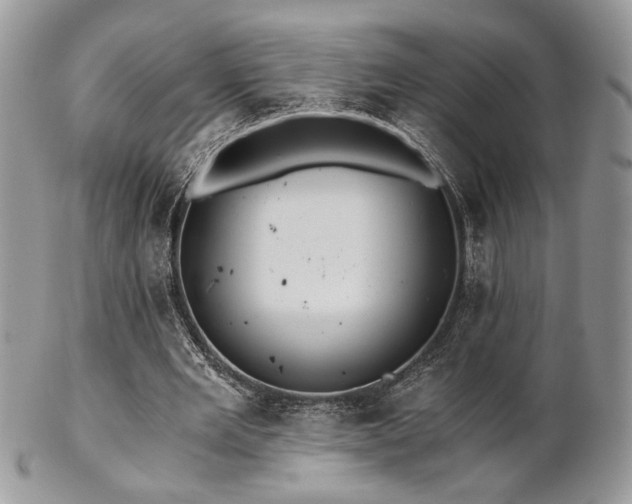 X0000102800485200808181204