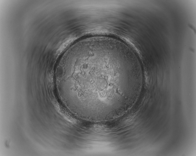 X0000102800487200808181204