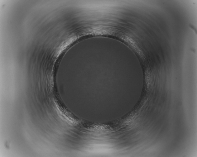 X0000102800488200808181204