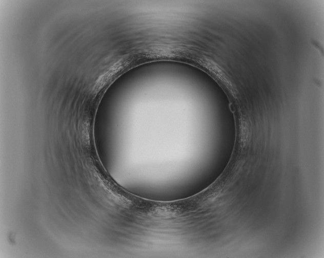 X0000102800489200808181204