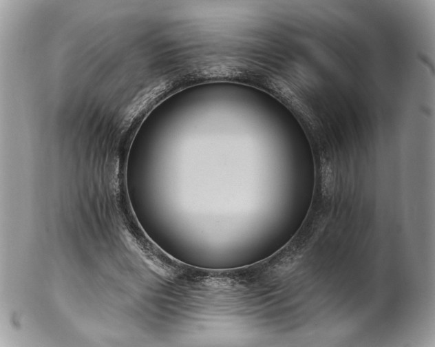 X0000102800490200808181204