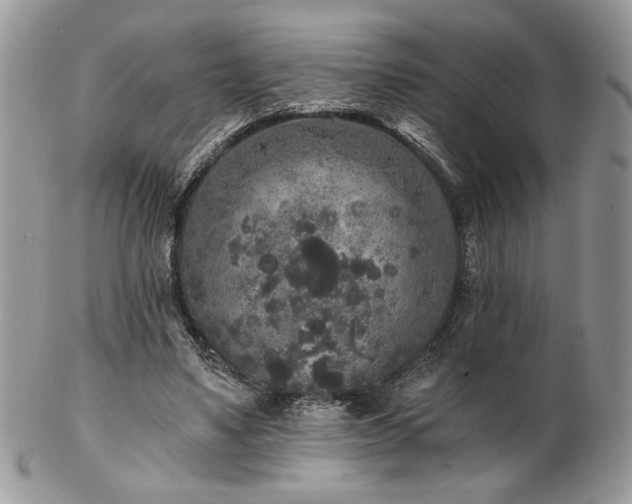 X0000102800491200808181204