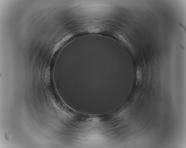 X0000102800492200808181204