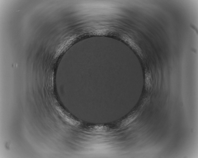 X0000102800493200808181204