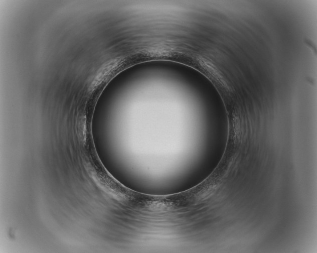 X0000102800494200808181204