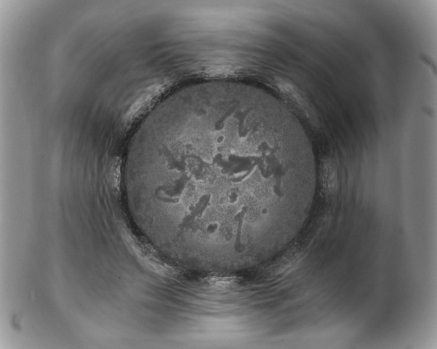X0000102800495200808181204