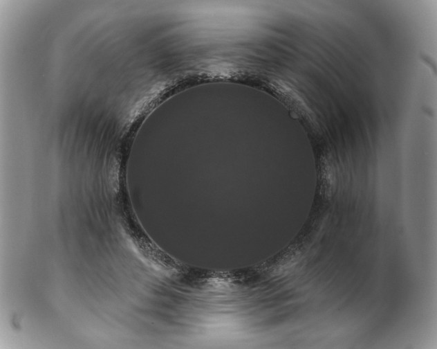 X0000102800496200808181204