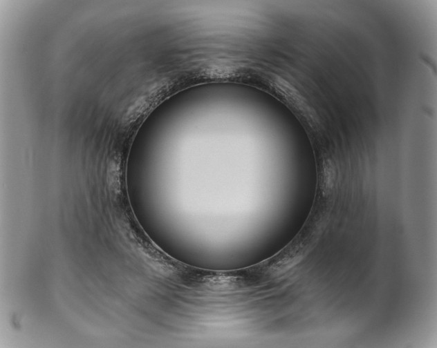 X0000102800497200808181204
