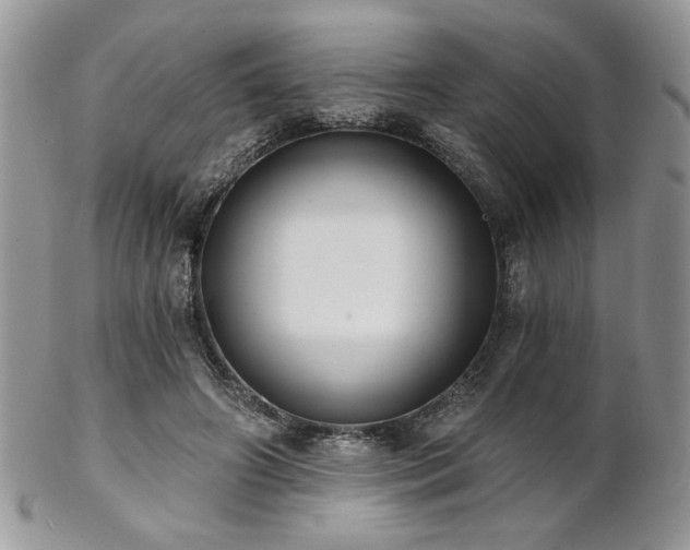 X0000102800498200808181204