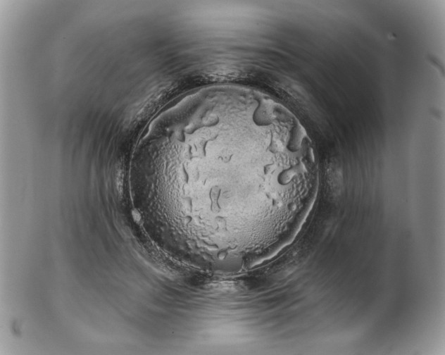 X0000102800499200808181204
