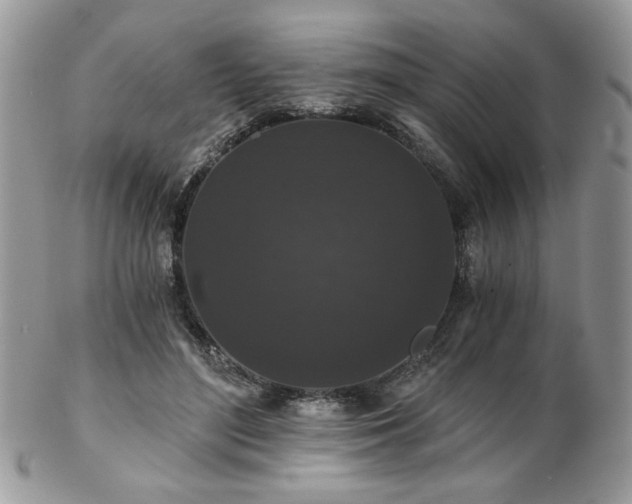 X0000102800500200808181204