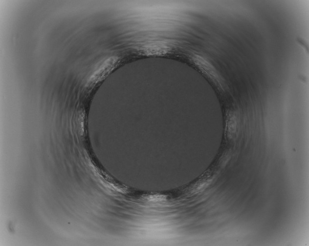 X0000102800501200808181204