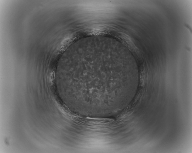 X0000102800503200808181204