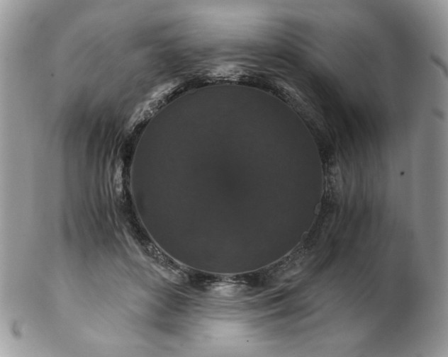 X0000102800504200808181203