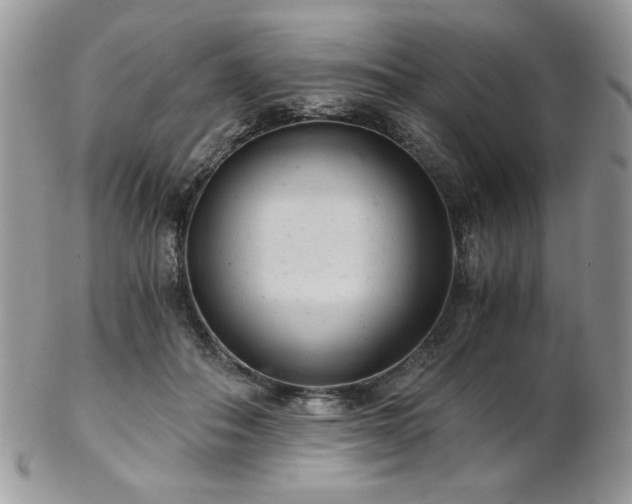 X0000102800506200808181203