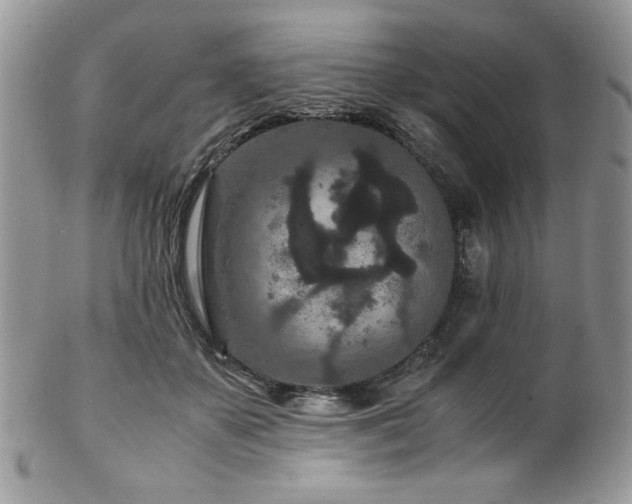 X0000102800507200808181203