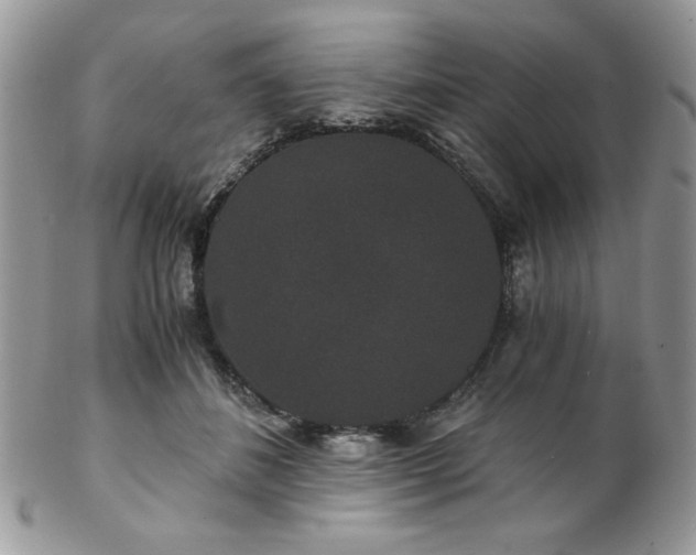 X0000102800508200808181203