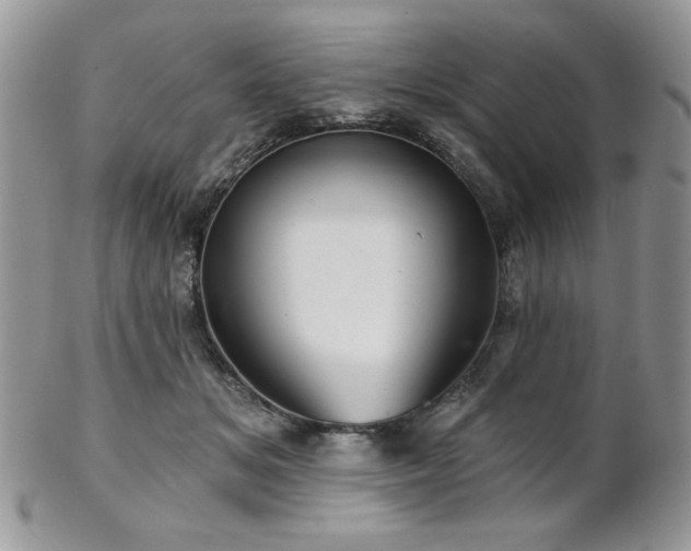 X0000102800509200808181203
