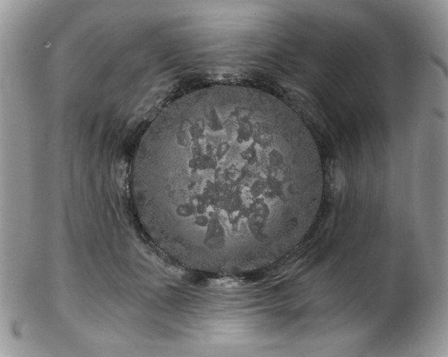 X0000102800511200808181203