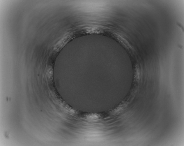 X0000102800513200808181203