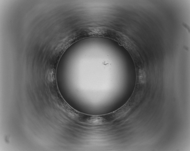 X0000102800514200808181203