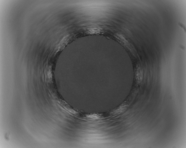 X0000102800516200808181203