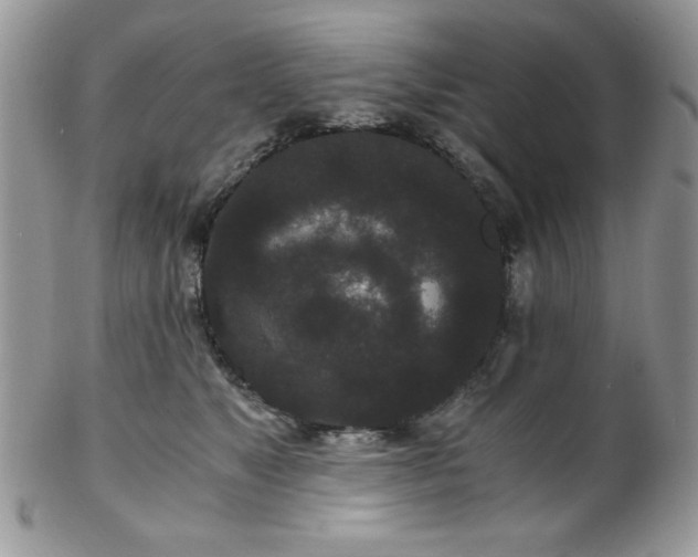 X0000102800517200808181203