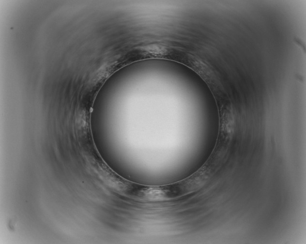 X0000102800518200808181203