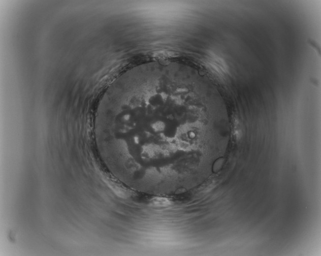 X0000102800519200808181203