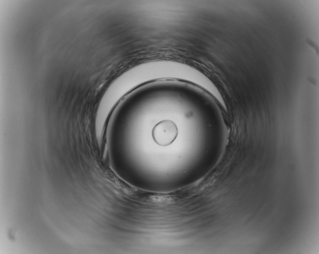 X0000102800520200808181203