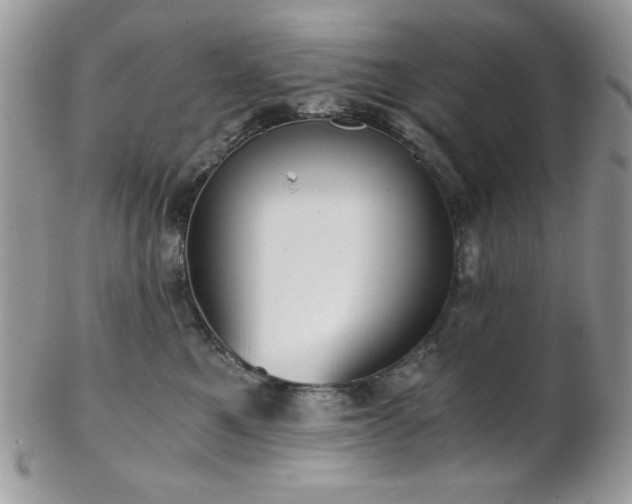 X0000102800521200808181203