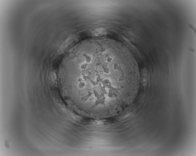 X0000102800523200808181203