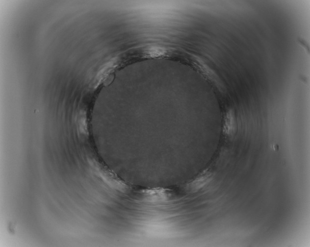 X0000102800524200808181203