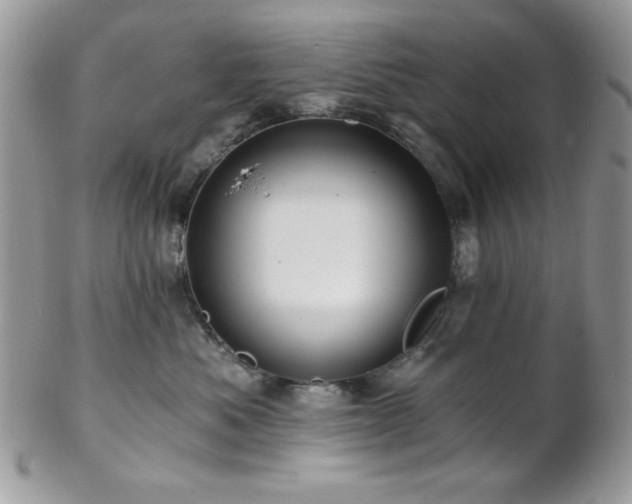 X0000102800525200808181203