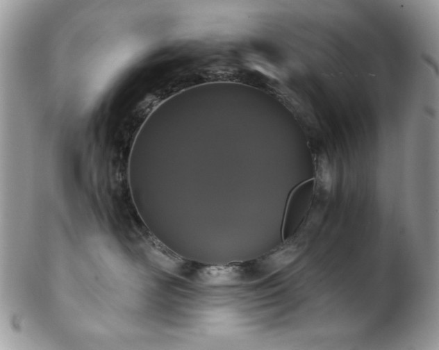 X0000102800526200808181203