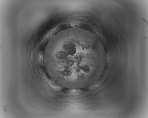X0000102800527200808181203