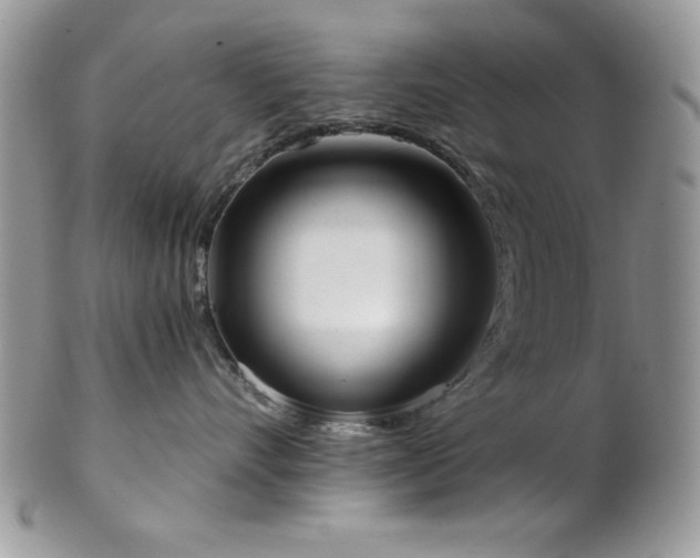 X0000102800528200808181203