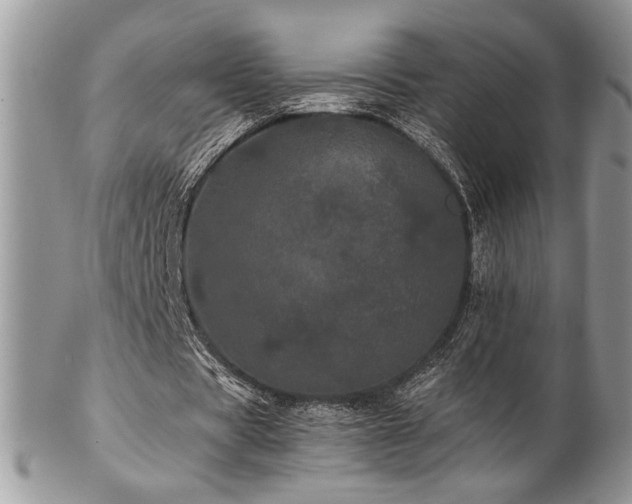 X0000102800529200808181202