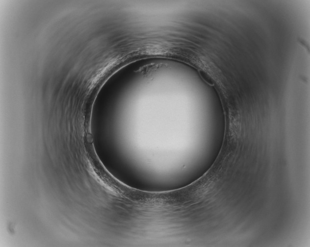 X0000102800530200808181203